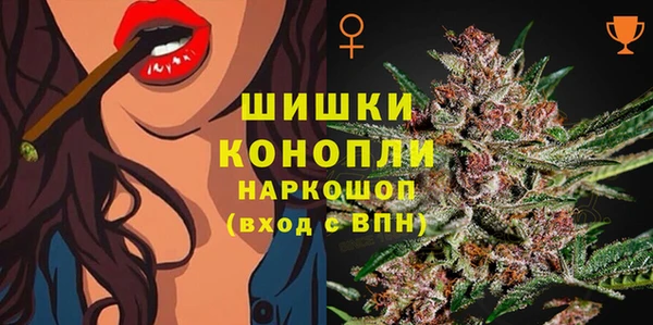 метадон Заводоуковск