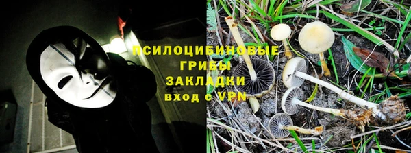 метадон Заводоуковск