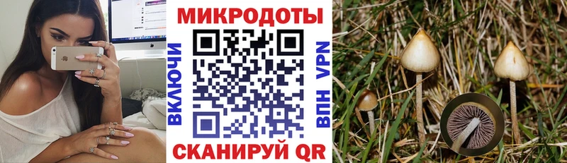 Галлюциногенные грибы Psilocybe  Купить закладки  Духовщина 
